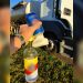 Caminhoneiro é preso por dirigir embriagado e trafegar em zigue-zague em rodovia de Itapeva